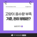 아띠 동물의료센터 | 동대문구 동물병원 고양이 음수량 부족 기준, 관리 방법