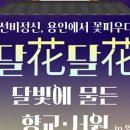 달빛서원