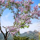 누리,멍's 이미지