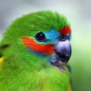 일산동물의료원 이미지