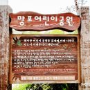 공룡나라어린이집 | 수원공원 l 망포어린이공원에서 티라노 트리케라톱스와 함께 떠나는 공룡 월드