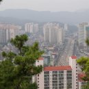 개운산공원 Daum카페
