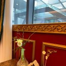 루원 센트럴 동물의료센터 | 인천 동물병원 추천 루원 센트럴 동물의료센터 진료시간비용위치리뷰