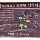 비밀정원12 이미지