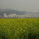 강변로길 이미지