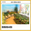 성수 팝업스토어 파파레서피 후기 체험부터 할인 럭키드로우까지 알찬 팝업!