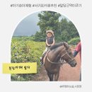 기수네목장 | 제주 서귀포카페 목장 밭디 : 36개월 아이와 승마체험 후기