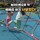 유아 여름 긴바지 추천 베베쥬 몸빼바지 가성비 후기