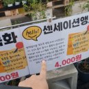 헬로우마켓 이미지