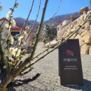 카멜리아펜션 이미지