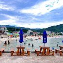 용화해수욕장 네이버블로그
