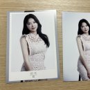 단미사진관 이미지