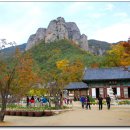 만추 이미지