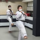 연세대한양태권도 이미지