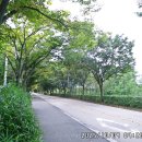 갈대습지공원 이미지