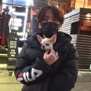 성수 이미지