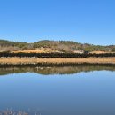 수변공원(1) 이미지