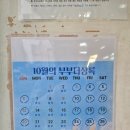 삼일체육사 이미지