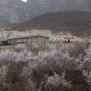 하늘바라기펜션 Daum카페
