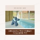 강릉 감성숙소 독채 키즈풀빌라 자근숩 열매동 추천