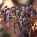 아람극장 이미지