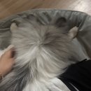 유진컴퍼니 | 여름이지만 즐거운