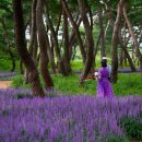 황산문화체육공원 이미지