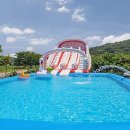 5959애견동반펜션 네이버블로그