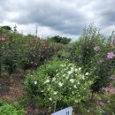 장호농장 이미지