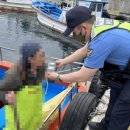 동해-단속-30 이미지