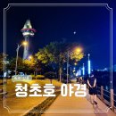 청초호유원지(중앙) | 강원도 속초 여행 코스 16 청초호 유원지 산책하며 야경 명소 즐기기 (feat 러닝 코스)