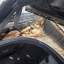 장우카클리닉.세차장 이미지