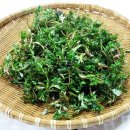 김영귀환원수 이미지