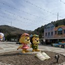 오월드 | 대전 오월드 동물원 후기 물개쇼부터 사막여우까지 직접 다녀온 솔직 리뷰