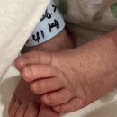 예지가맥 | [출산,육아후기] 출산 후 D+30 신생아 졸업까지의 기록 ,,, (feat. 산후우울증)