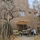 묘한 세계 | 부산 핫플 '모모스커피' 본점 | 세계바리스타 챔피언 커피와 감성 카페뷰까지 완벽했던 후기