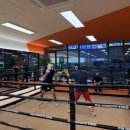 경희대BURN800복싱 이미지