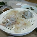 순천만-&gt;오동도 자전거 여행 후기