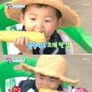 해피휴게소 이미지