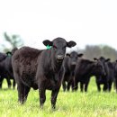 화신목장 이미지