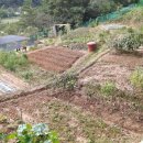 호범농장 이미지