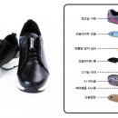 풋젠 이데일리