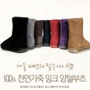 소보건강기능