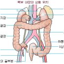 그린항외과의원 이미지