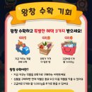 올팜 왕창 수확기회 후기: 대파 무료 + 초특가 추가 구매로 알뜰하게 키우기