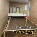 봉천 한의원 | 서울 신림 봉천 효소찜질 핫한 &lt;자하생식 효소찜질&gt; 내돈내산