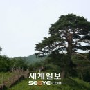 심심산골 이미지