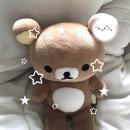 노은서로 | 대전 백정화 노은동 카페 웨이팅 빙수 맛집 내돈내산 솔직후기 (feat. 고양이)