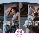 조 동물병원 이미지