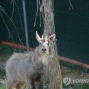 사단법인 대구경북기자협회 이미지